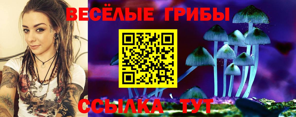 Галлюциногенные грибы Magic Shrooms Советск