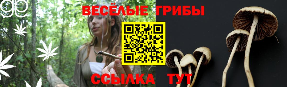 Советск  Псилоцибиновые грибы прущие грибы  Вход с VPN 